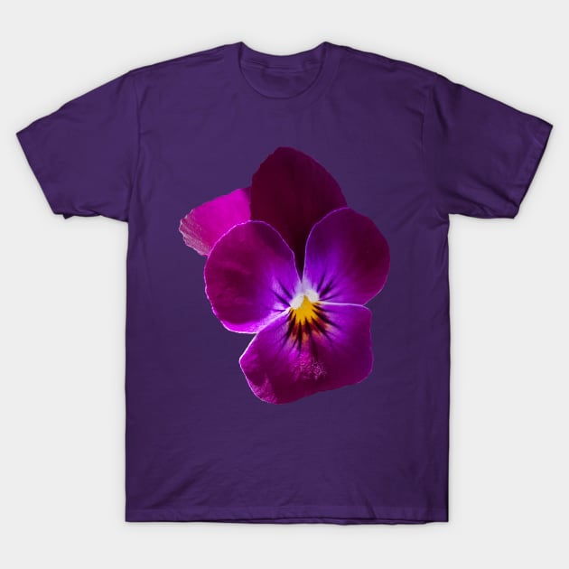 Purple Violet Flower T-Shirt by ellenhenryflorals